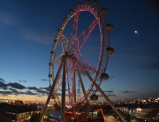 melbourne star, chinese new year