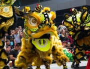 lion dance, queen victoria market